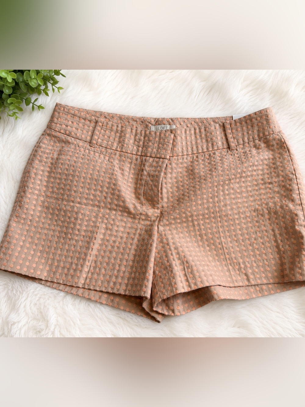 NWT LOFT Peach Dot Textured Bermuda Shorts